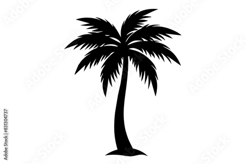 palm tree silhouette vector illustration