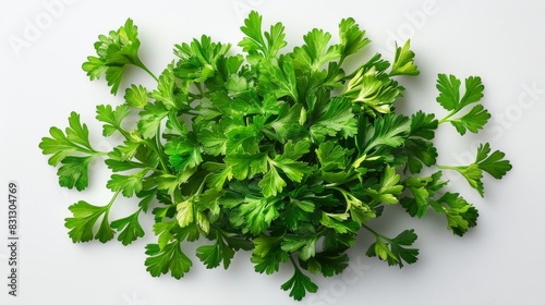 The image contains chopped dry parsley leaves piled on top of the white background in a top-down view. photo