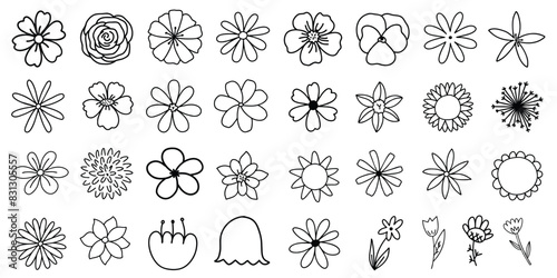 Collection of Black Doodle Outline Flower, Cherry Blossom Rose Fictional Poppy Jasmine Flower, Flower Vector