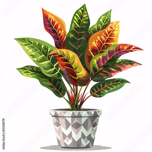 PNG illustration of a leafy croton plant with variegated green and red leaves in a stylish pot on a white background photo