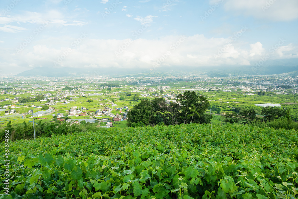 緑豊かな田園風景と村
