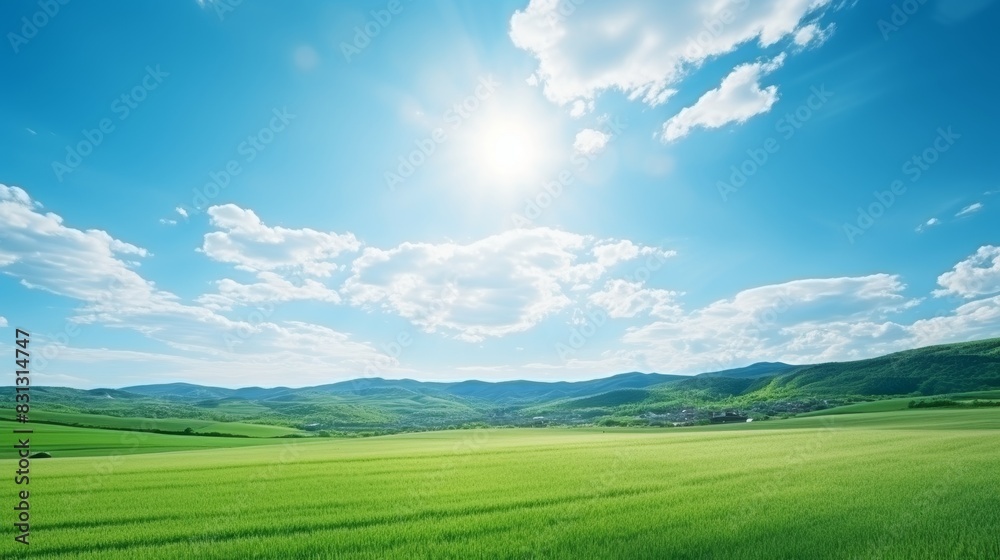 Tranquil summer landscape green field under a serene blue sky with fluffy clouds on the horizon Tranquil summer landscape green field under a serene blue sky with fluffy clouds on the horizon