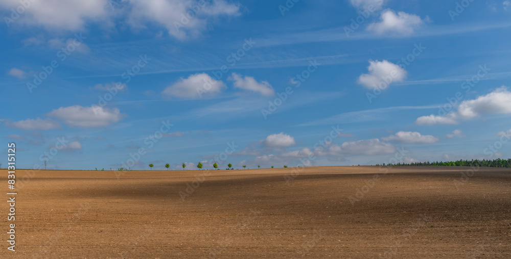 Obraz premium View from fast train from Brno for brown field with blue sky and white clouds