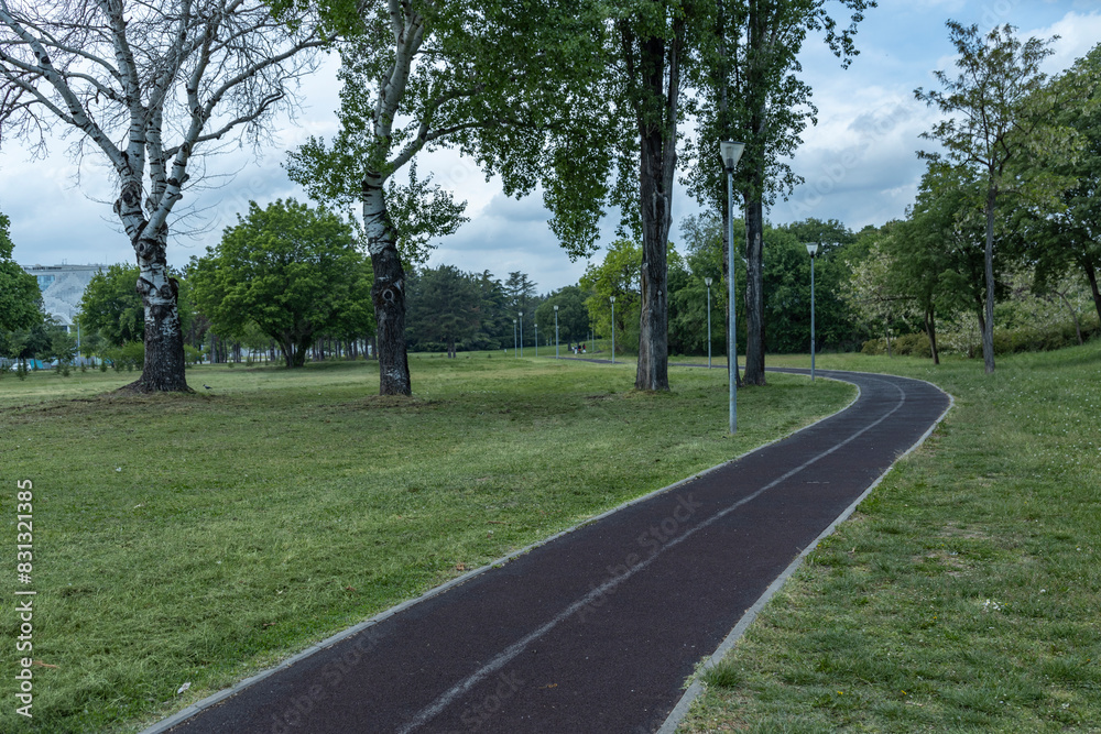  A serene park scene featuring a black asphalt jogging track surrounded by lush green grass and a variety of trees, including birch trees.