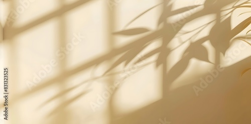 Abstract Beige Background with Window Shadows for Mockup