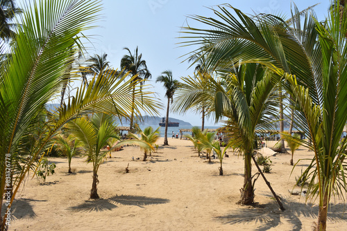 A view of Tamarindos beach with palm trees and a boat in the distance in Acapulco photo