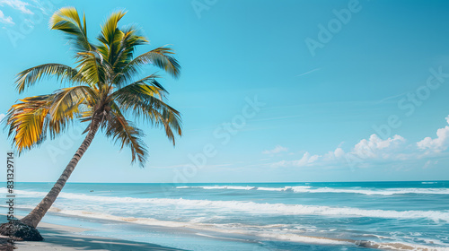 A palm tree on a beach with great copy space  Summer theme.