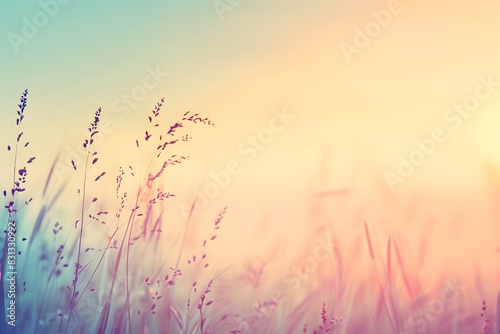 Pastel Sunset Over Blurred Grass Meadow