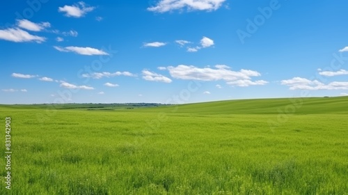 Sweeping summer landscape vibrant green field, clear blue sky with puffy clouds, ideal sunny day