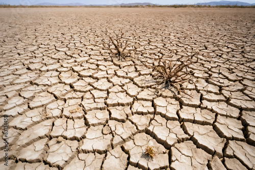 A drought-stricken landscape with cracked earth and withered vegetation photo