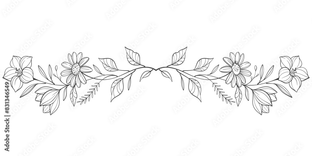 Sketch Floral Botany Collection. flower drawings. Black and white with line art on white backgrounds. Hand Drawn Botanical Illustrations.Vector.