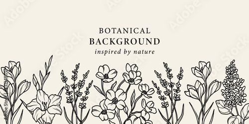 Line art crocus, gladiolus, lavender, dogwood, lilac	background