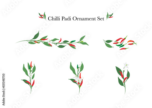 set of chili flower ornament on white background