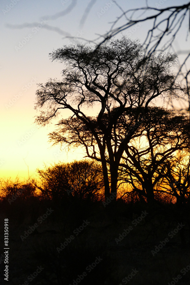 Botswana Botswana