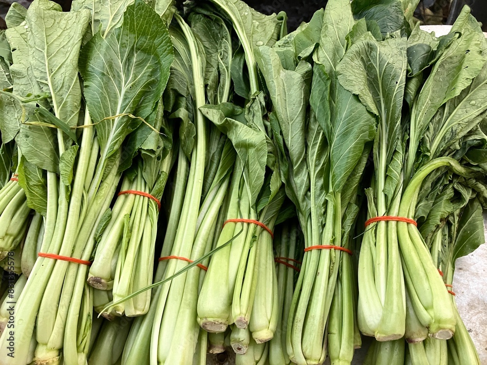 Obraz premium Group of objects fresh green mustard greens that have been tied