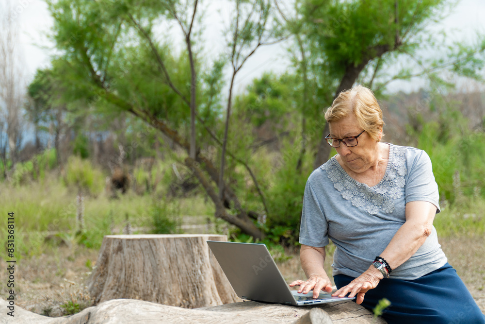 Retired woman using the laptop sitting on a trunk in the partk on a summer sunset. Retired woman using the laptop sitting on a trunk in the partk on a summer sunset.