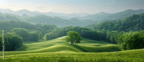 High-resolution photos of a vast hillside landscape.