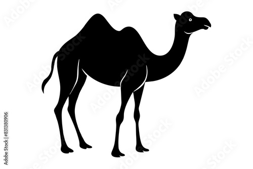 camel animal vector silhouette illustration