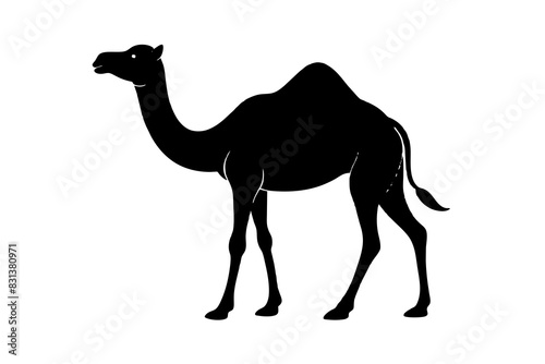 camel animal vector silhouette  illustration