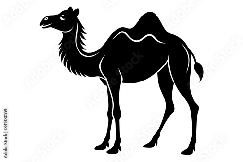 camel animal vector silhouette  illustration