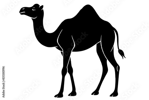 camel animal vector silhouette  illustration