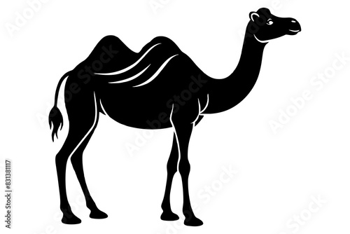 camel animal vector silhouette  illustration