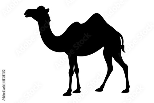 camel animal vector silhouette  illustration