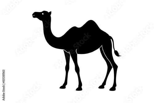 camel animal vector silhouette  illustration