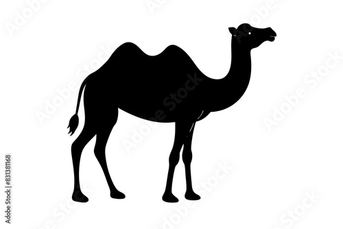camel animal vector silhouette  illustration