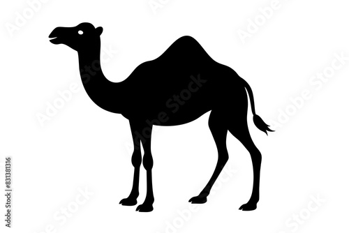 camel animal vector silhouette  illustration