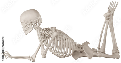 Photos skeleton posing 3d render anatomical illustration with transparent background