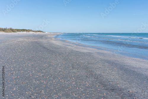 A beach with a clear sky and many seashells brought by the storm  the sea is calm and blue  lido Adriano  Ravenna.