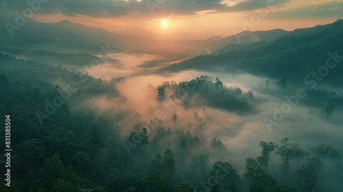 Breathtaking view of a misty forest valley at sunrise, with sunlight breaking through the clouds and casting a golden glow over the lush green landscape.