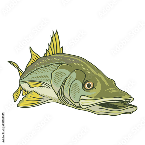 snook fishing illustration logo vector image t shirt
