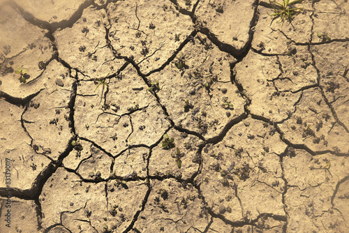 Dry and cracked arid clay soil in Texas, drought concept.