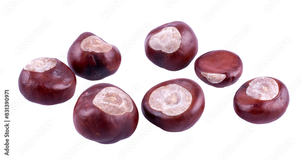 chestnuts isolated on white or transparent background chestnuts isolated on white or transparent background
