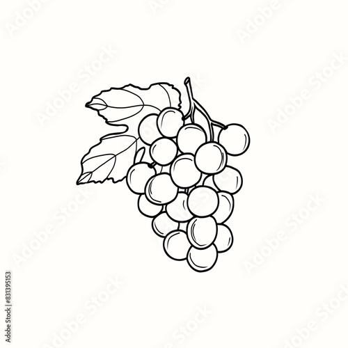 Line art grapes branch illustration