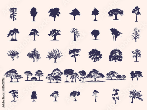 Silhouettes Trees Set, Pine Tree fir  pruce cedar white patch alder elm birch ash cypress beech palm tree.