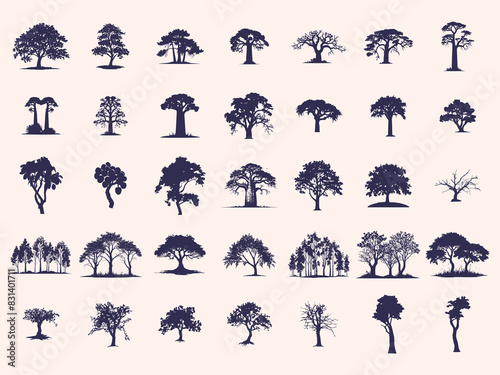Silhouettes Trees Set, Pine Tree fir  pruce cedar white patch alder elm birch ash cypress beech palm tree.