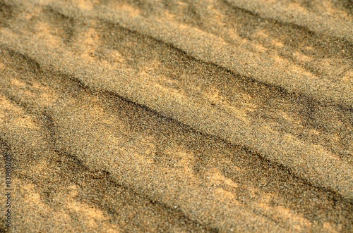 Sharqiya Sands, Sultanato de Omán photo