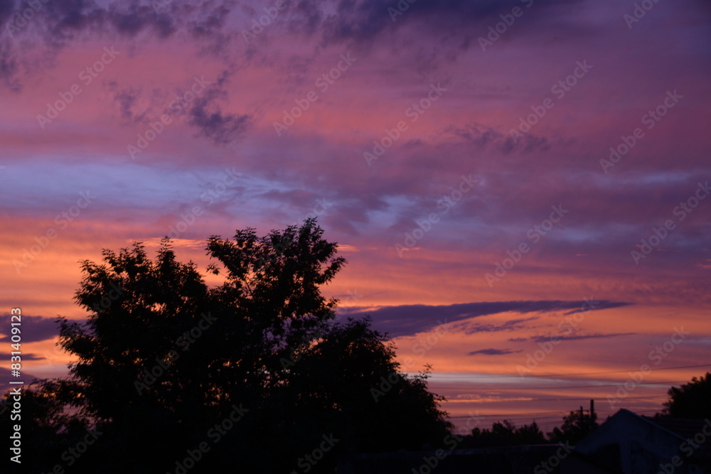 Obraz premium sunset over the forest