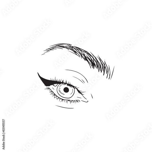 Beautiful eye with brow with eyeline in black isolated on white background. Hand drawn vector sketch illustration in doodle engraved vintage style. Concept of makeup tutorial, beauty fashion. photo