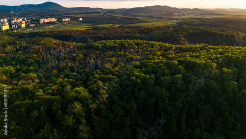 Fototapeta Naklejka Na Ścianę i Meble -  aerial view of forests on the hills at the foot of the mountains in poland in the spring at sunset