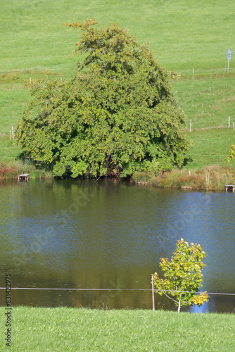 Kulturlandschaft bayerisches Voralpenland photo