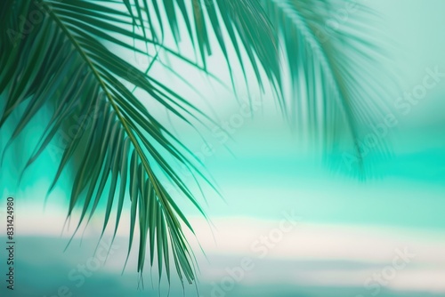 Enchanted Horizon  Softened Palm Silhouettes