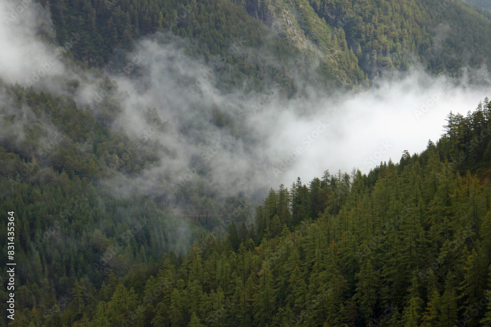 Bergnebel Bergnebel