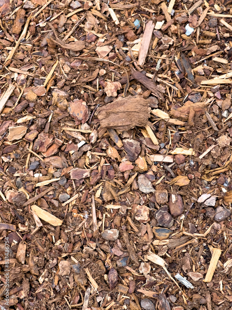 Wood chips closeup Wood chips closeup