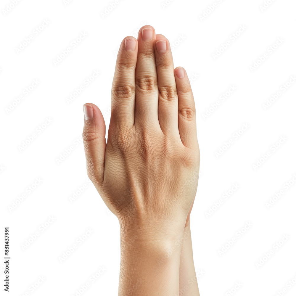 Hand gesture with palms together on a transparent background Hand gesture with palms together on a transparent background