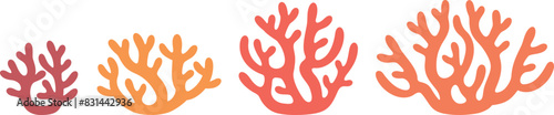 Crop stages of coral. Isolated coral on white background