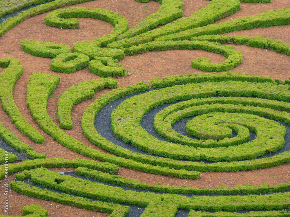 Details of boxwood embroidery in a French garden - Détails des broderies en buis d'un jardin à la Française Details of boxwood embroidery in a French garden - Détails des broderies en buis d'un jardin à la Française